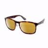 Caribou Sunglasses with Matte Tortoise Frame and Polarized Amber Lens